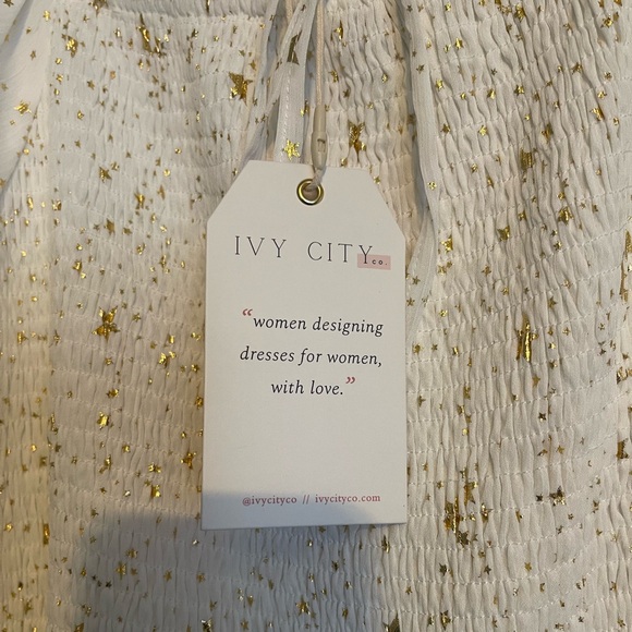 NWT Ivy City Co Midsummer Nights Dress XL - Picture 5 of 5